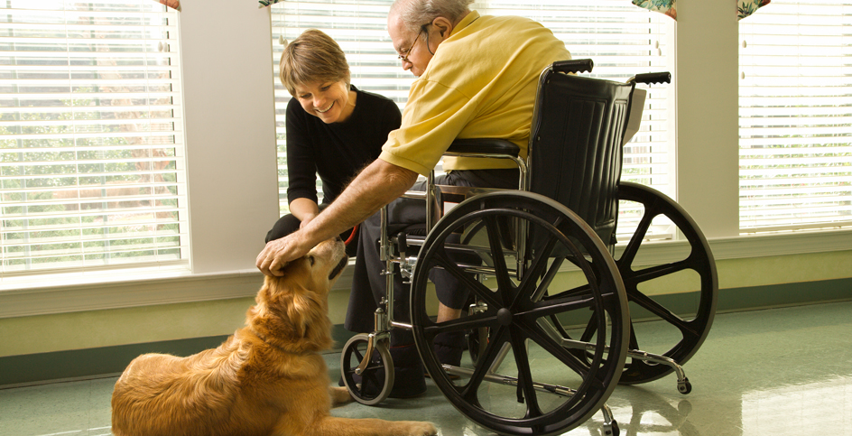 Des chiens dans les résidences pour personnes âgées