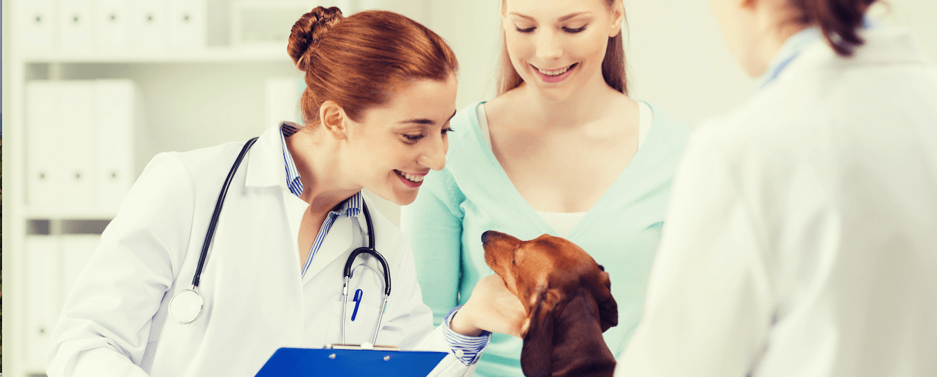Anestesia perros. Efecto de la en la recuperación